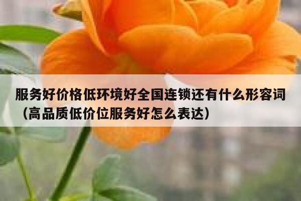 服务好价格低环境好全国连锁还有什么形容词（高品质低价位服务好怎么表达） 第1张