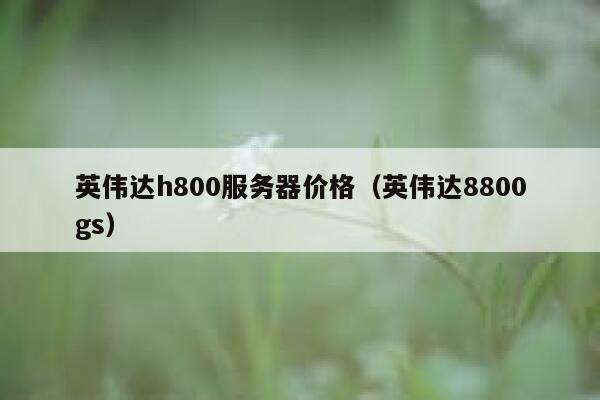 英伟达h800服务器价格（英伟达8800gs） 第1张