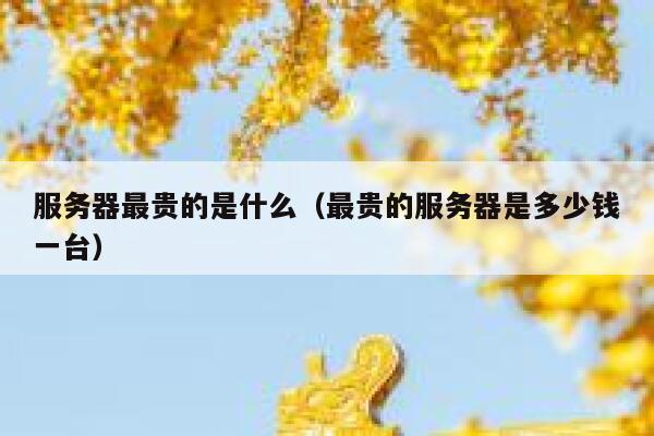 服务器最贵的是什么（最贵的服务器是多少钱一台） 第1张