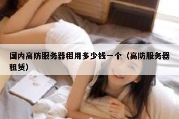 国内高防服务器租用多少钱一个（高防服务器租赁） 第1张