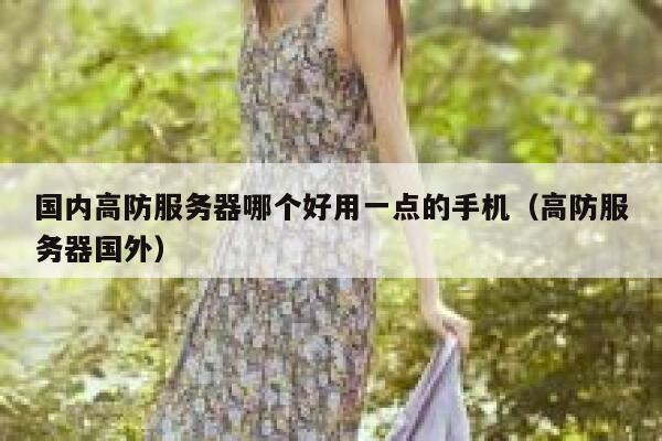 国内高防服务器哪个好用一点的手机（高防服务器国外） 第1张