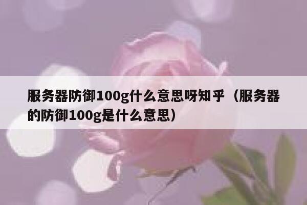 服务器防御100g什么意思呀知乎（服务器的防御100g是什么意思） 第1张