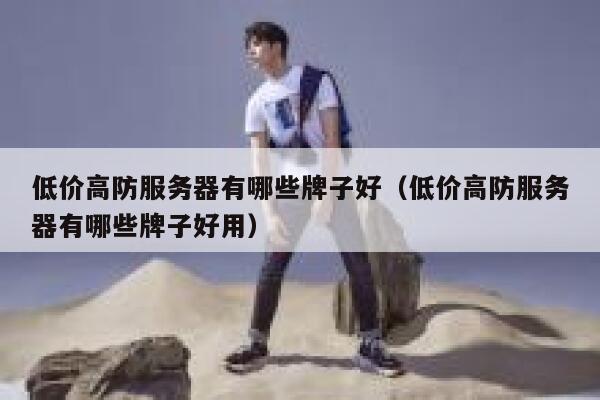 低价高防服务器有哪些牌子好（低价高防服务器有哪些牌子好用） 第1张