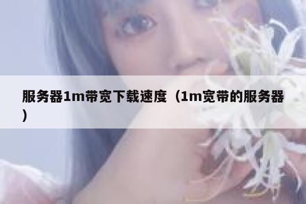 服务器1m带宽下载速度（1m宽带的服务器） 第1张