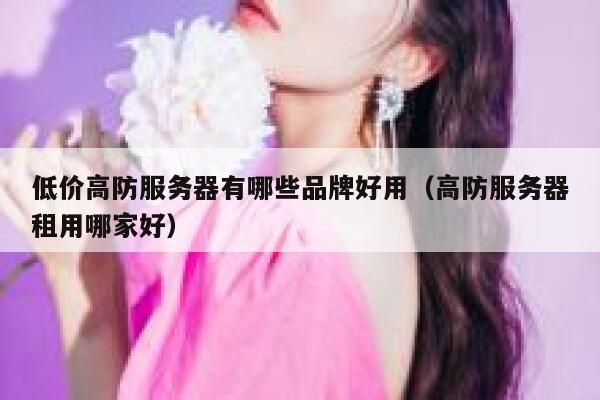 低价高防服务器有哪些品牌好用（高防服务器租用哪家好） 第1张