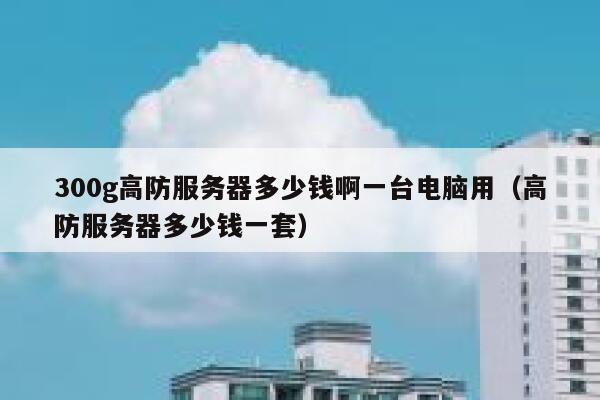 300g高防服务器多少钱啊一台电脑用（高防服务器多少钱一套） 第1张