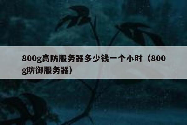 800g高防服务器多少钱一个小时（800g防御服务器） 第1张