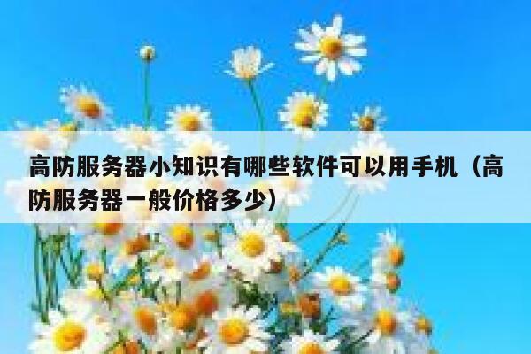 高防服务器小知识有哪些软件可以用手机（高防服务器一般价格多少） 第1张