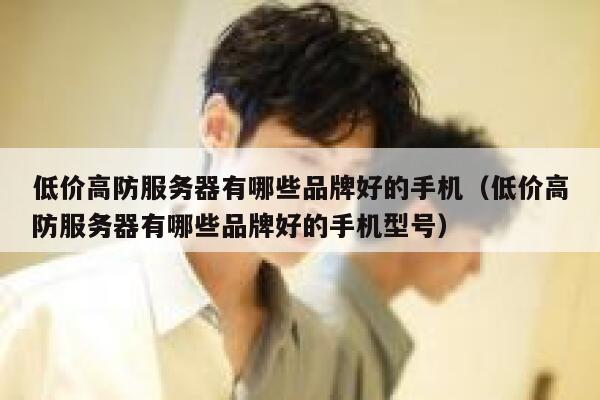 低价高防服务器有哪些品牌好的手机（低价高防服务器有哪些品牌好的手机型号） 第1张