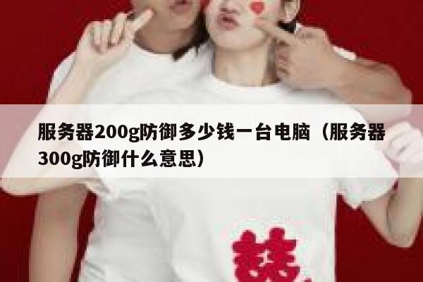 服务器200g防御多少钱一台电脑(服务器300g防御什么意思) 第1张 服务器200g防御多少钱一台电脑(服务器300g防御什么意思) 第1张