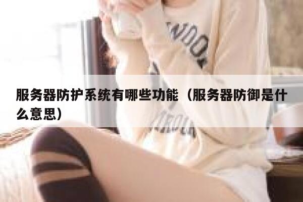 服务器防护系统有哪些功能（服务器防御是什么意思） 第1张