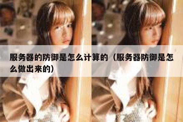 服务器的防御是怎么计算的（服务器防御是怎么做出来的） 第1张
