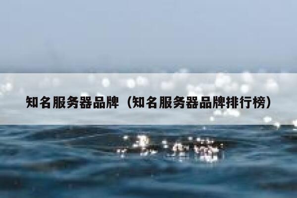 知名服务器品牌（知名服务器品牌排行榜） 第1张