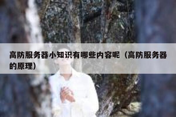 高防服务器小知识有哪些内容呢（高防服务器的原理） 第1张