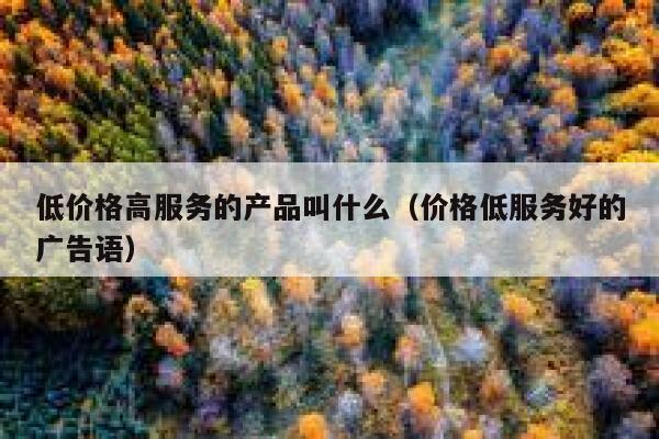 低价格高服务的产品叫什么（价格低服务好的广告语） 第1张