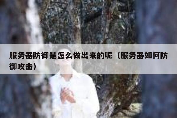 服务器防御是怎么做出来的呢（服务器如何防御攻击） 第1张