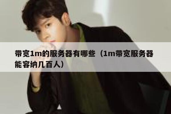 带宽1m的服务器有哪些（1m带宽服务器 能容纳几百人） 第1张
