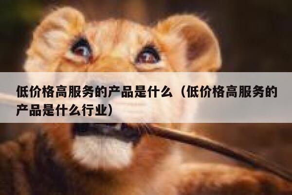 低价格高服务的产品是什么（低价格高服务的产品是什么行业） 第1张
