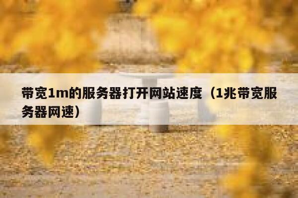 带宽1m的服务器打开网站速度(1兆带宽服务器网速) 第1张 带宽1m的服务器打开网站速度(1兆带宽服务器网速) 第1张