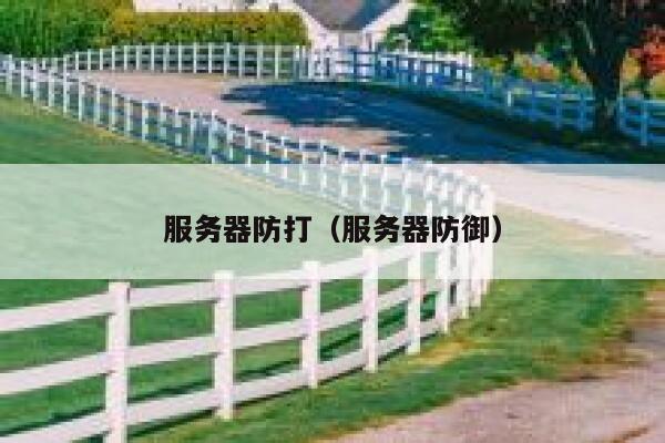 服务器防打(服务器防御) 第1张 服务器防打(服务器防御) 第1张