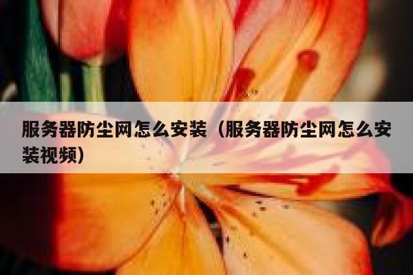 服务器防尘网怎么安装（服务器防尘网怎么安装视频） 第1张