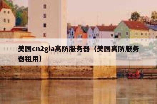 美国cn2gia高防服务器（美国高防服务器租用） 第1张