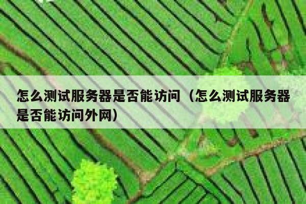 怎么测试服务器是否能访问（怎么测试服务器是否能访问外网） 第1张