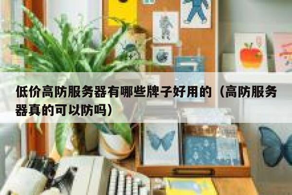 低价高防服务器有哪些牌子好用的（高防服务器真的可以防吗） 第1张