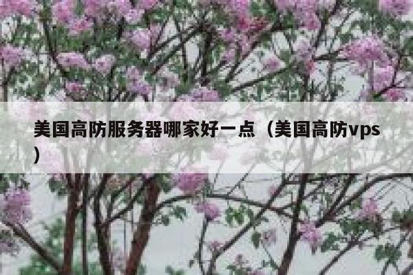 美国高防服务器哪家好一点（美国高防vps） 第1张