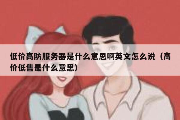 低价高防服务器是什么意思啊英文怎么说（高价低售是什么意思） 第1张