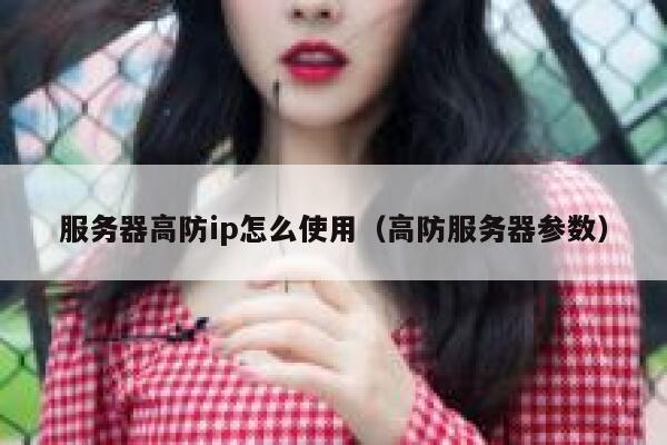 服务器高防ip怎么使用（高防服务器参数） 第1张