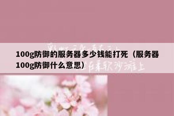 100g防御的服务器多少钱能打死（服务器100g防御什么意思） 第1张