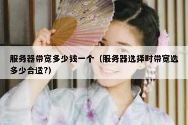 服务器带宽多少钱一个（服务器选择时带宽选多少合适?） 第1张