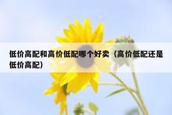 低价高配和高价低配哪个好卖（高价低配还是低价高配） 第1张