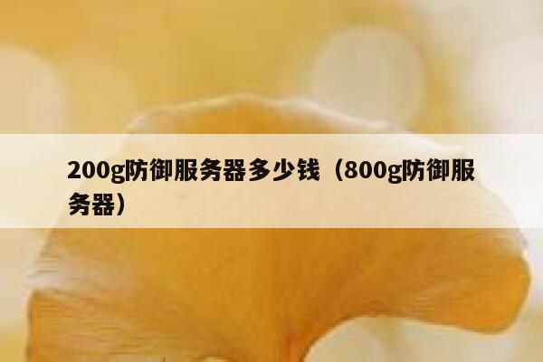 200g防御服务器多少钱（800g防御服务器） 第1张