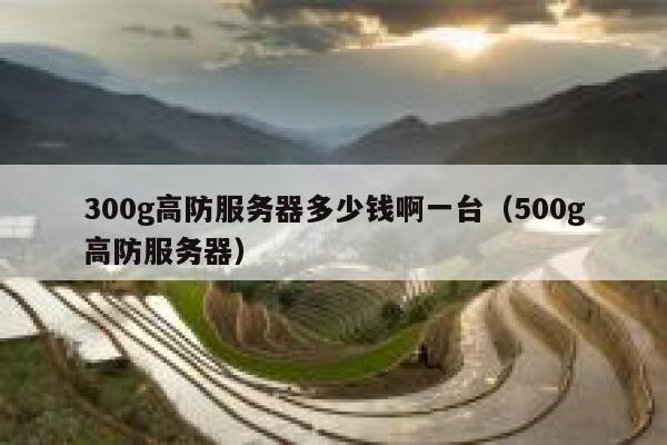 300g高防服务器多少钱啊一台（500g高防服务器） 第1张