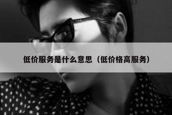 低价服务是什么意思（低价格高服务） 第1张