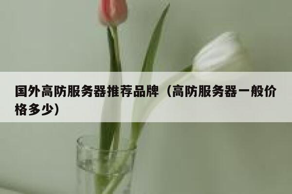 国外高防服务器推荐品牌（高防服务器一般价格多少） 第1张