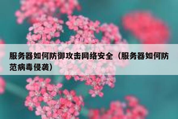 服务器如何防御攻击网络安全（服务器如何防范病毒侵袭） 第1张