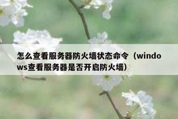 怎么查看服务器防火墙状态命令（windows查看服务器是否开启防火墙） 第1张