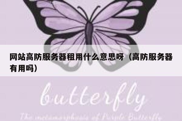 网站高防服务器租用什么意思呀（高防服务器有用吗） 第1张