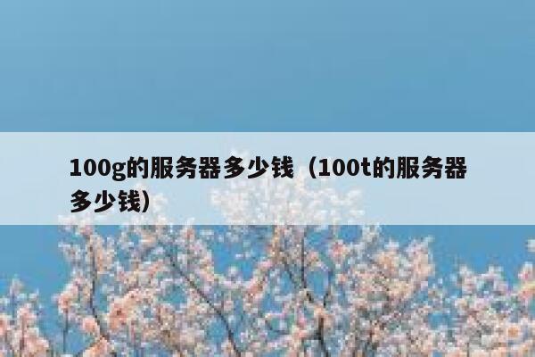 100g的服务器多少钱(100t的服务器多少钱) 第1张 100g的服务器多少钱(100t的服务器多少钱) 第1张