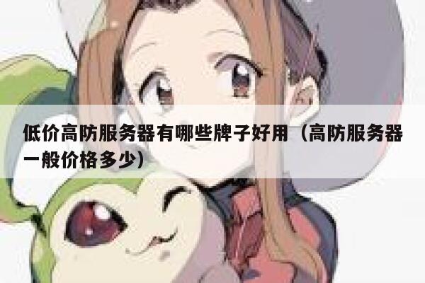 低价高防服务器有哪些牌子好用（高防服务器一般价格多少） 第1张