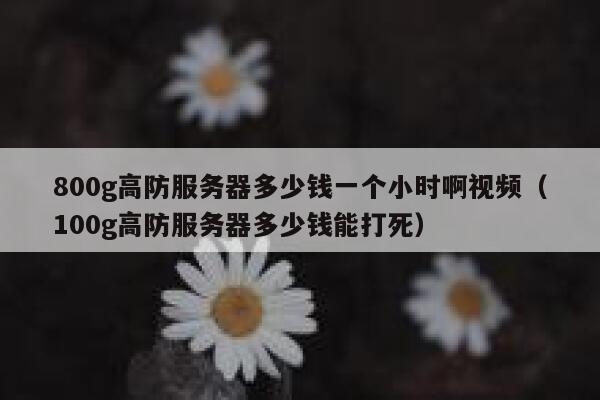 800g高防服务器多少钱一个小时啊视频（100g高防服务器多少钱能打死） 第1张