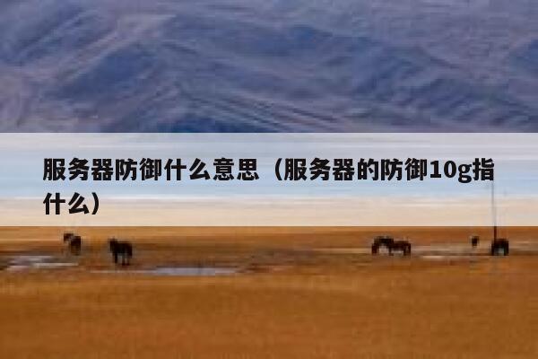 服务器防御什么意思（服务器的防御10g指什么） 第1张