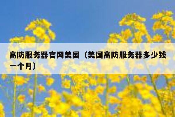 高防服务器官网美国(美国高防服务器多少钱一个月) 第1张 高防服务器官网美国(美国高防服务器多少钱一个月) 第1张