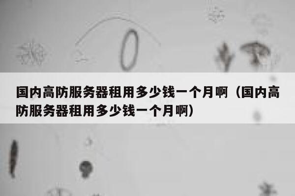 国内高防服务器租用多少钱一个月啊（国内高防服务器租用多少钱一个月啊） 第1张