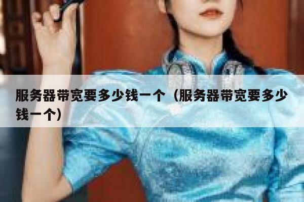 服务器带宽要多少钱一个（服务器带宽要多少钱一个） 第1张