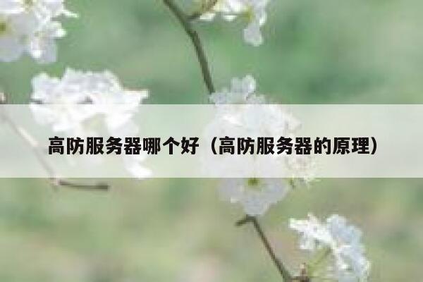 高防服务器哪个好(高防服务器的原理) 第1张 高防服务器哪个好(高防服务器的原理) 第1张