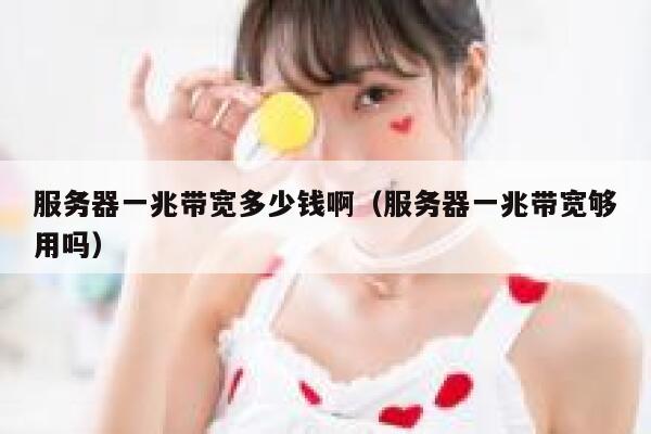 服务器一兆带宽多少钱啊（服务器一兆带宽够用吗） 第1张